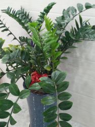 -痘院士专业祛痘皮肤管理