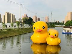 -菊园百果园