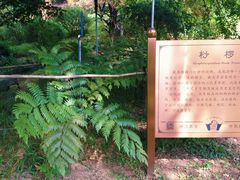 -广州神农草堂中医药博物馆