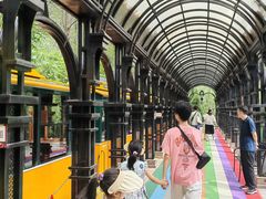 -合肥滨湖国家森林公园