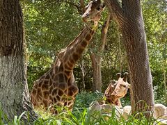 -北京野生动物园