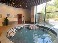 -天目湖涵田半山温泉
