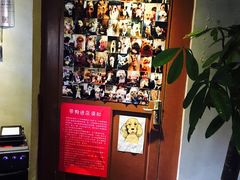 -百好乐宠物友好餐厅(朝外大街店)