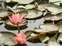 -白鹭湾湿地公园