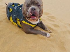 -亿利库布其七星湖沙漠生态旅游区