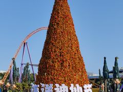 -上海海昌海洋公园