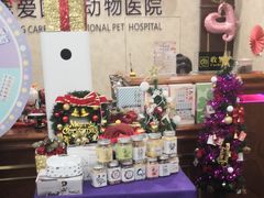 -宠爱国际动物医院· 猫科· 外科·中兽医(长白店)
