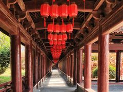 -祥源·阜阳生态乐园