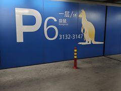 -虹桥国际机场-2号航站楼停车场