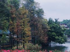 -荔湾湖公园