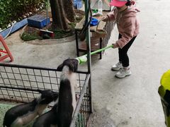 -史努比缤纷世界