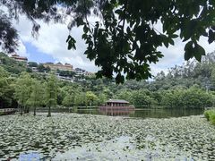 -顺峰山公园