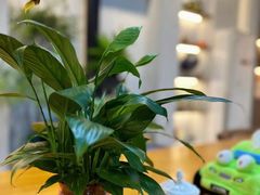 -威固车膜世家·汽车贴膜·隐形车衣·汽车改色·太阳膜(碧桂园店)