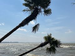 -捞渔河湿地公园