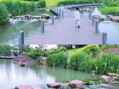 -南京珍珠泉风景区