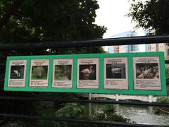 -九龙公园