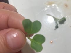 -赤火牛排(金狮广场店)
