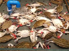 -一方渔歌蒸汽海鲜自助(文化路万达广场店)