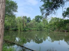-南汇桃花村