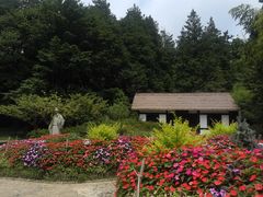 -庐山风景区花径公园