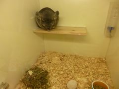 -龙猫仔乐园(惠福东路店)