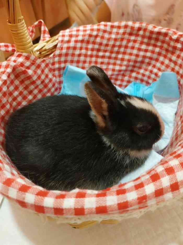 小花家柯尔鸭公社撸鸭俱乐部饮品店(万达店)-"今天