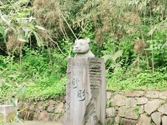 -都江堰中华大熊猫苑