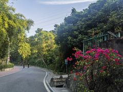 -仙岳公园