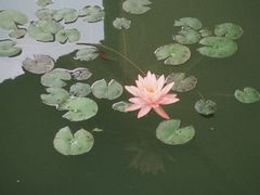 -平湖九龙山旅游度假区