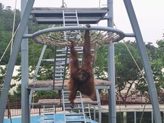 -西霞口神雕山野生动物世界