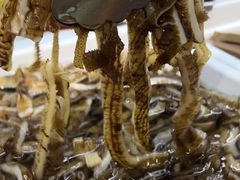 -潮牛岛·潮汕鲜切牛肉自助火锅(无锡首店)