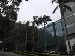 -大埔公路-马料水段香港中文大学(公交站)