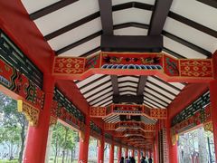 -顺峰山公园