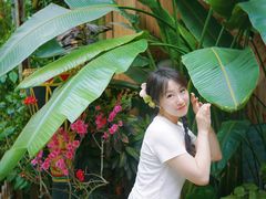 -西双版纳傣族园