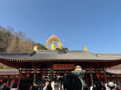 -庐山风景名胜区-东林大佛
