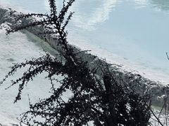 -白水台