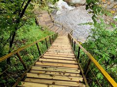 -青峰峡国家森林公园