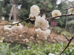 -成都杜甫草堂博物馆