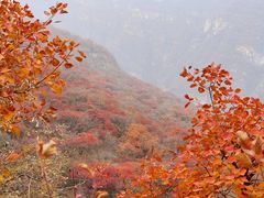 -周口店坡峰岭风景区