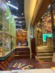 -卡通尼·Safari非洲探索乐园·生日会(金桥国际商业广场店)