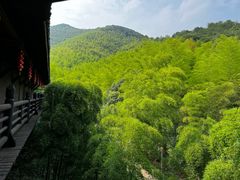 -大唐贡茶院