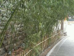 android_upload_pic-沕沕水生态风景区