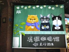 -有猫主题·治愈系猫咖(曾厝垵店)