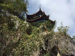 -西华公园