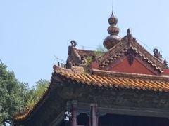 -北陵公园
