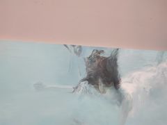 -四川美术馆