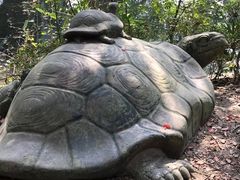 -韩湘水博园