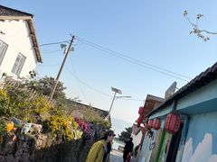 -巢湖姥山岛