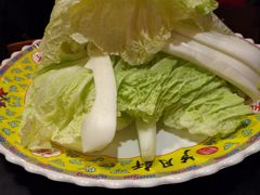 大白菜-芦月轩羊蝎子(劲松店)