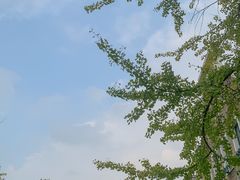 -成都南湖公园